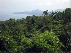 Pastime KIRINA  Essay  Phi Phi Island  ahmed route home w