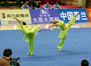  Jian event at the 10th All China Games (2005)