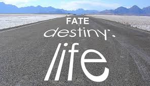 Fate Life Destiny